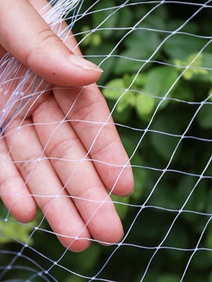 Orchard Bird Netting